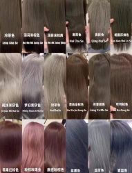 -IP SALON