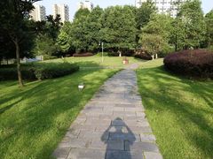 -成都保利公园皇冠假日酒店(熊猫基地店)