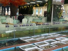 -景好海鲜餐厅(大鹏必选旅游店)