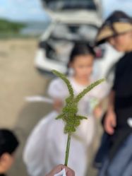 -大树儿童摄影
