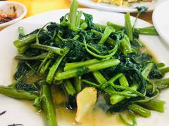 -荣生萝卜汤饭店
