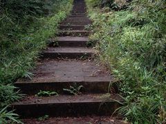 -杭州半山国家森林公园