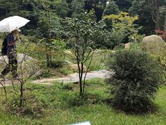 -含鄱口