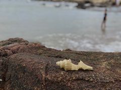 -湄洲岛