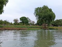 -西溪国家湿地公园