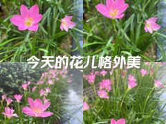 -KK ONE(京基滨河时代店)