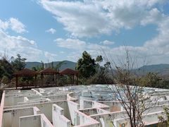 -世界恐龙谷景区