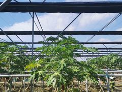 -迪茵湖田家舍生态农场