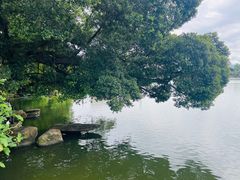 -东山湖公园