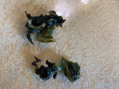 -老张烤羊(王哥庄店)