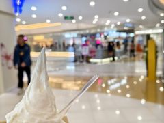 -野人先生Gelato(上海长宁龙之梦店)