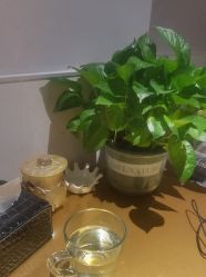 -悦润荟美容抗衰中心