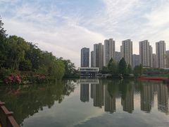 -都喜天丽富都青枫苑酒店-青枫小筑