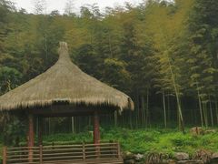 -兰亭风景区