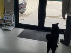 -瑞派伍一宠物医院·眼科·骨科·猫科转诊中心(马王堆院)