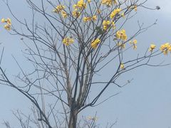 -白石龙音乐公园