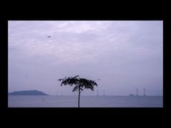 -宝安西湾红树林湿地公园