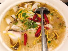 养生酸菜鱼-小资太太餐厅(南岗区店)