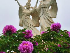 -曹州百花园