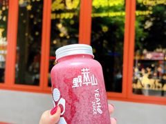 -野萃山·潮汕厚果汁(十亩地店)