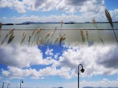 -芒洲湿地公园