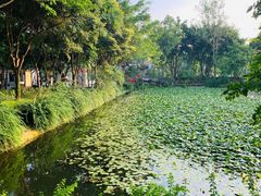-巴山一绝烤全羊(三圣乡刘家花园店)