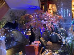 大堂-二十八里太湖船菜(吉祥路店)