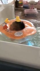 -喜月来月子会所