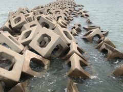 -东疆建设开发纪念公园