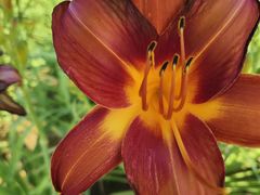 -汉长安城未央宫国家考古遗址公园