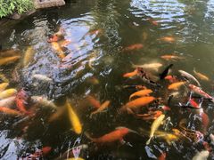 -珠海圆明新园