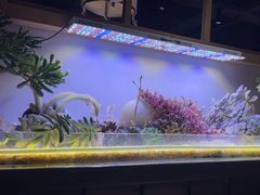 -街角等你.大连海鲜烧烤(西安路店)