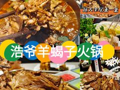 -浩爷羊蝎子火锅(望京店)