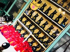 -猫咪博物馆(顶澳仔猫街店)