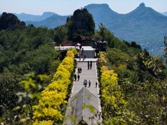 -岱崮地貌旅游区