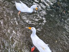 -水磨沟公园
