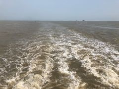 -澳门环岛游湾仔码头