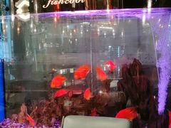 -梅园国际大酒店·自助餐厅(光明港店)