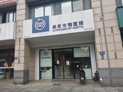 -关爱宠物医院·猫科中心·消化科(滨湖万达分院)