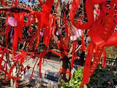 -祥源·阜阳生态乐园