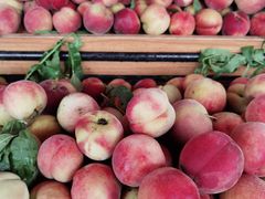 -红星农博物流中心