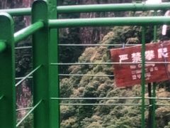 -龙湾潭国家森林公园