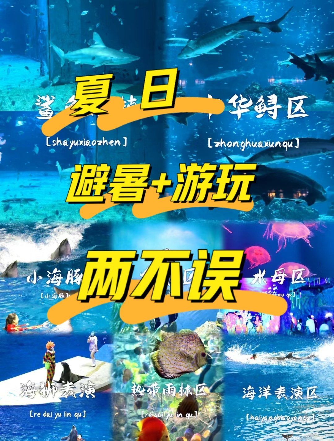 7:30-18:00(17:00停止入馆)

海洋馆一共7个景区:
路线:雨林