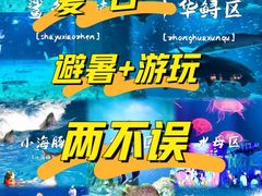 -北京海洋馆