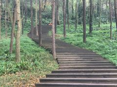 -青城山
