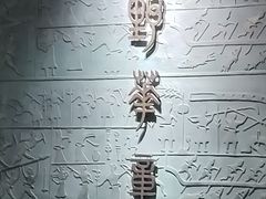 -平原博物院