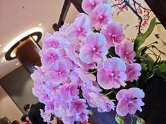 -聚福宝合苑食府(南头镇店)