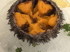 海胆-渔娘渔家丹东海鲜(东直门店)