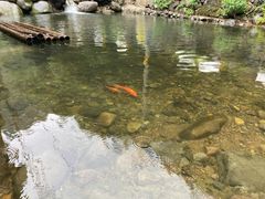 -白云源风景区