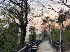 -香雪海
